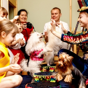 13 - Шоу мини-собачек на праздник. Цена - 16 000 руб.