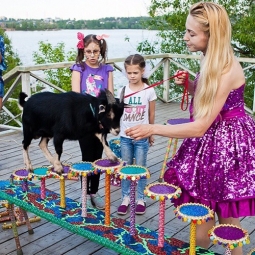 Дрессированная коза на праздник - от 14 000 руб.
