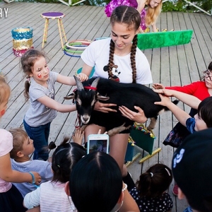 7 - Дрессированная коза на праздник - от 14 000 руб.