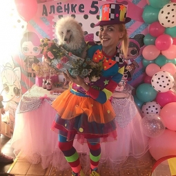 Цирк собак и кошек в Москве - от 15 000 руб.