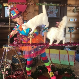 Цирк собак и кошек в Москве - от 15 000 руб.