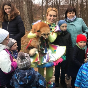 16 - Цирк лесных зверей в Москве - от 27 000 руб.