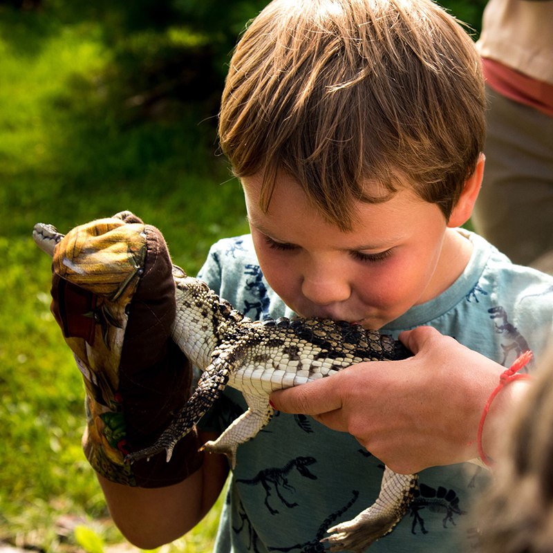 Экзотические дети. Ребенок и экзотика. Дрессированный крокодил. Ребёнок с экзотическими животными.