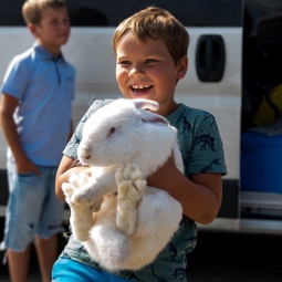 Дрессированный кролик на праздник - от 3 000 руб.