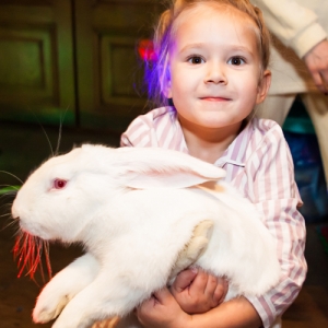 8 - Дрессированный кролик на праздник - от 3 000 руб.