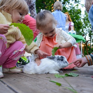 9 - Дрессированный кролик на праздник - от 3 000 руб.