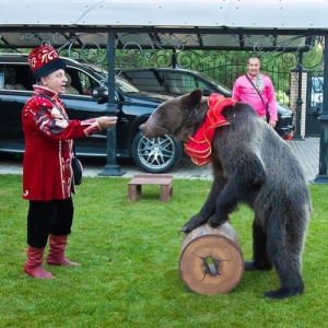 15 - Дрессированный медведь на праздник - от 28 000 руб.