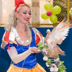 Дрессированные голуби на праздник - от 13 000 руб.
