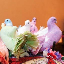 Дрессированные голуби на праздник - от 13 000 руб.