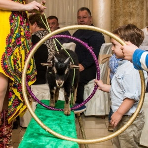 23 - Царский Цирк Анны Кранц на праздник в Москве