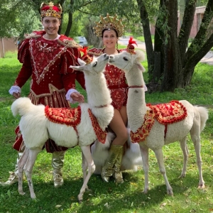 15 - Царский Цирк Анны Кранц на праздник в Москве