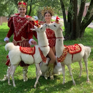 16 - Царский Цирк Анны Кранц на праздник в Москве
