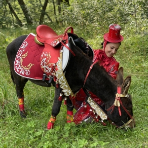 2 - Осел на праздник в Москве - от 25 000 руб.