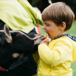 Дрессированная коза на праздник - от 14 000 руб.