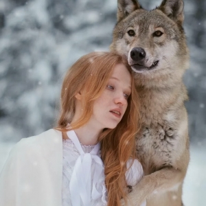4 - Дрессированный волк на праздник в Москве