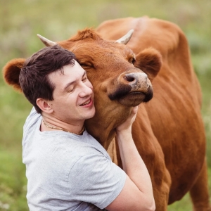 1 - Дрессированная корова и бык на праздник - от 20 000 руб.
