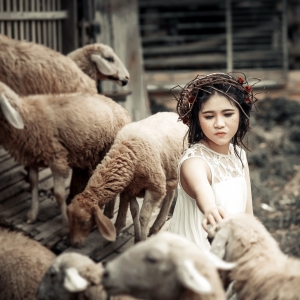 4 - Дрессированная овца на праздник. Шоу барана в Москве