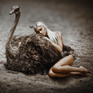 6 - Дрессированный страус на праздник | Шоу страуса