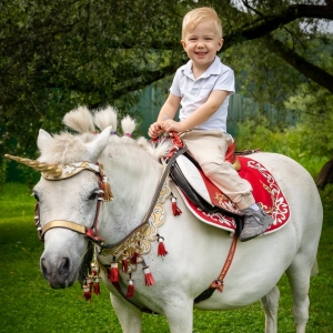 2 - Дрессированные лошади и пони на праздник - от 20 000 руб.
