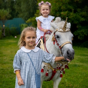 14 - Дрессированные лошади и пони на праздник - от 20 000 руб.