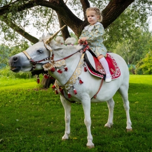 16 - Дрессированные лошади и пони на праздник - от 20 000 руб.
