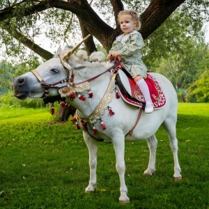 15 - Дрессированные лошади и пони на праздник - от 20 000 руб.