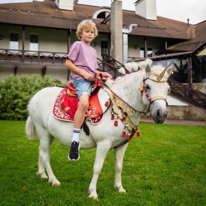 17 - Дрессированные лошади и пони на праздник - от 13 000 руб.