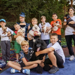 35 - Дрессированные мини-собачки на праздник. Цена от 30 000 рублей