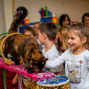25 - Номер с кошечками и собачками «Котопес» заказать в Москве