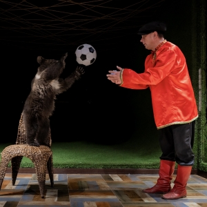 27 - Дрессированный медведь на праздник. Цена от 40 000 рублей