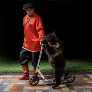 26 - Дрессированный медведь на праздник. Цена от 40 000 рублей