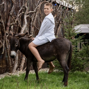 11 - Дрессированный осел на праздник в Москве - от 25 000 руб.