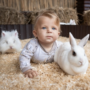 11 - Заказать шоу кроликов в Москве - от 9 000 руб.