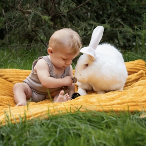 14 - Заказать шоу кроликов в Москве - от 9 000 руб.