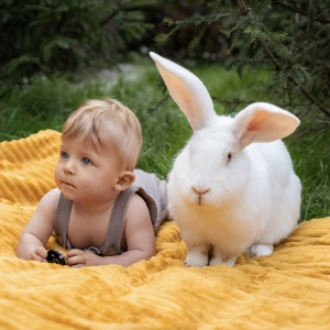 15 - Заказать шоу кроликов в Москве - от 9 000 руб.