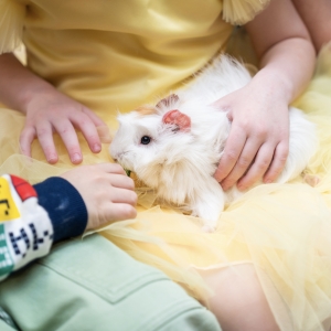 25 - Фокусы с животными в Москве. Цена от 30 000 руб.