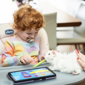 27 - Фокусы с животными в Москве. Цена от 30 000 руб.