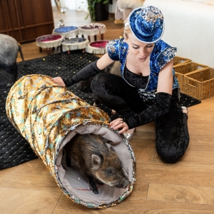 41 - Авторское шоу «Акуна Матата» заказать в Москве