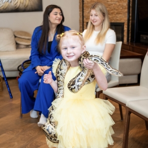 42 - Авторское шоу «Акуна Матата» заказать в Москве