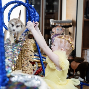 19 - Заказать шоу сурикатов в Москве - от 30 000 рублей