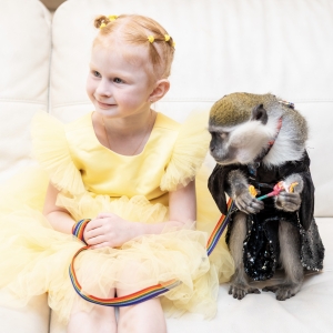 16 - Заказать шоу сурикатов в Москве - от 30 000 рублей