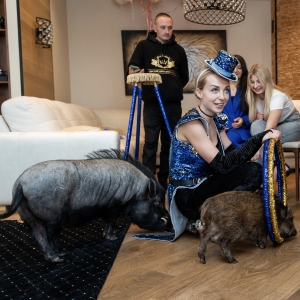 25 - Шоу мини-пигов и кабана на праздник. Цена от 15 000 руб.