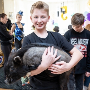 27 - Шоу мини-пигов и кабана на праздник. Цена от 15 000 руб.