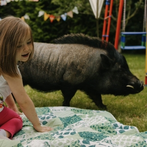 28 - Шоу мини-пигов и кабана на праздник. Цена от 15 000 руб.