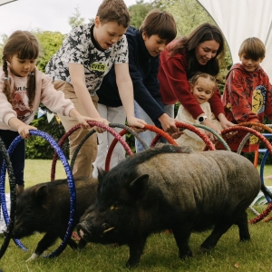 31 - Шоу мини-пигов и кабана на праздник. Цена от 15 000 руб.
