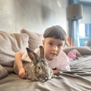 5 - Заказать шоу кроликов в Москве - от 9 000 руб.