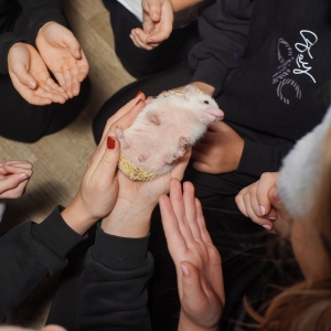 3 - Авторское «Иммерсивное шоу» заказать в Москве