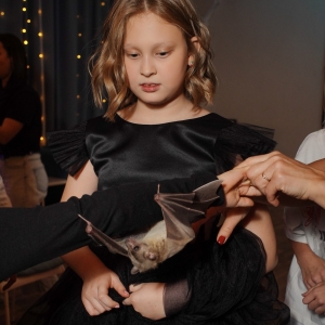 17 - Авторское «Иммерсивное шоу» заказать в Москве