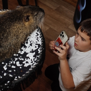 18 - Авторское «Иммерсивное шоу» заказать в Москве