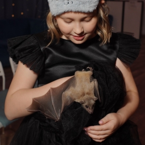 20 - Авторское «Иммерсивное шоу» заказать в Москве